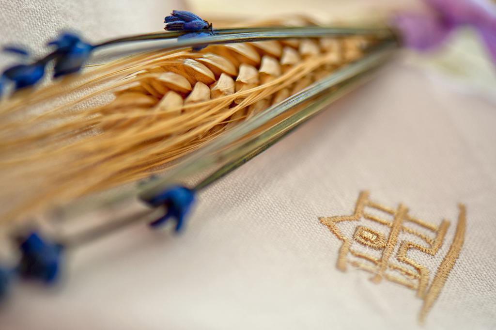 Montefredane Tenuta Ippocrate מראה חיצוני תמונה